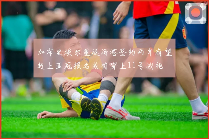 加布里埃尔重返海港签约两年有望赶上亚冠报名或将穿上11号战袍
