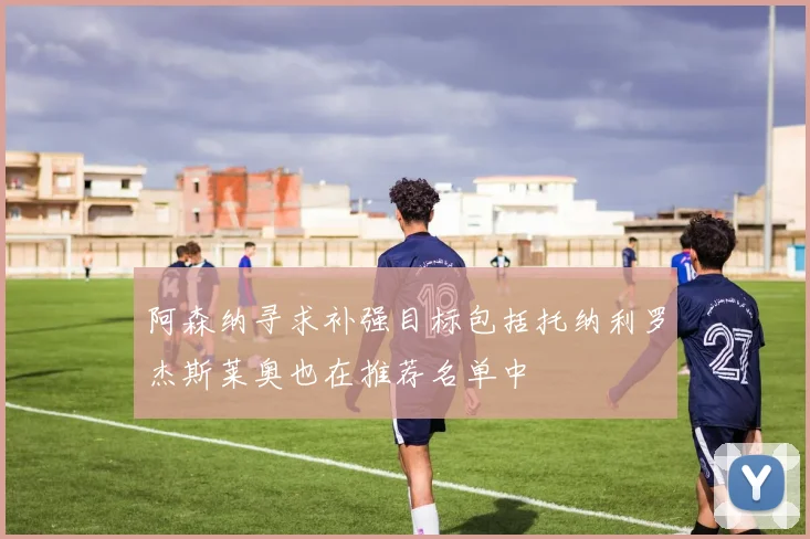 阿森纳寻求补强目标包括托纳利罗杰斯莱奥也在推荐名单中