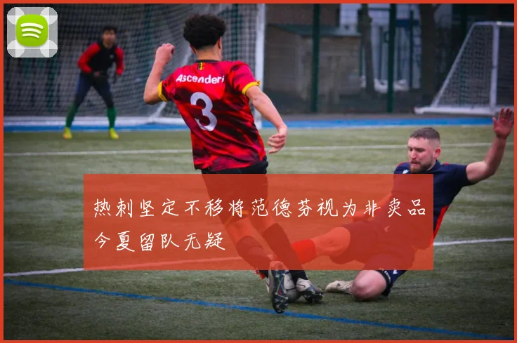 热刺坚定不移将范德芬视为非卖品今夏留队无疑