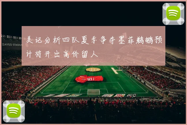 美记分析四队夏季争夺墨菲鹈鹕预计将开出高价留人